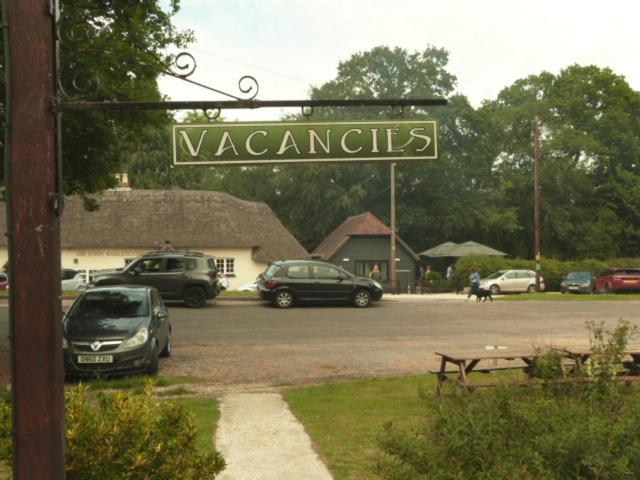 Twin Oaks Guest House Cadnam Exterior photo